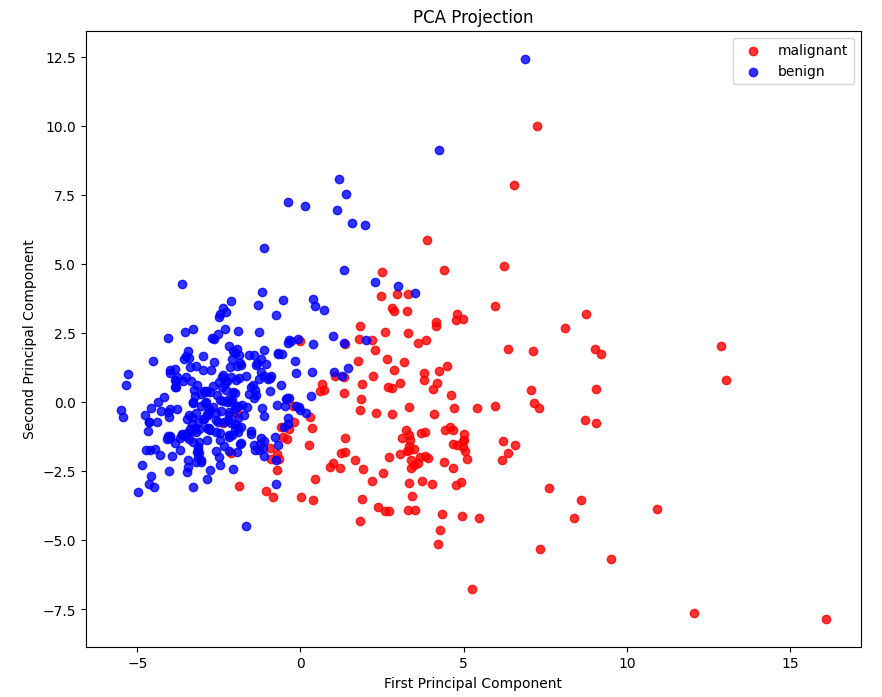 Visualization of a machine learning model for tumor classification